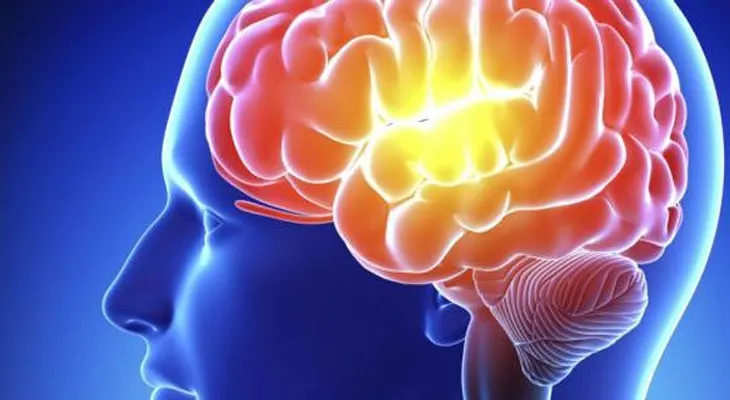 El cerebro también se arruga con la edad