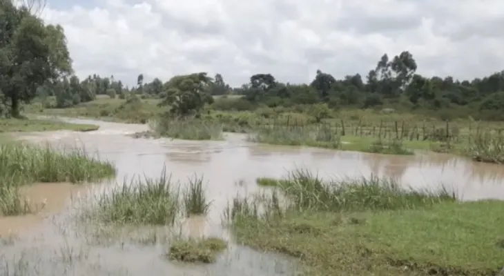 Descubren gigantesca reserva de agua en África abastecería más de 100 millones de personas