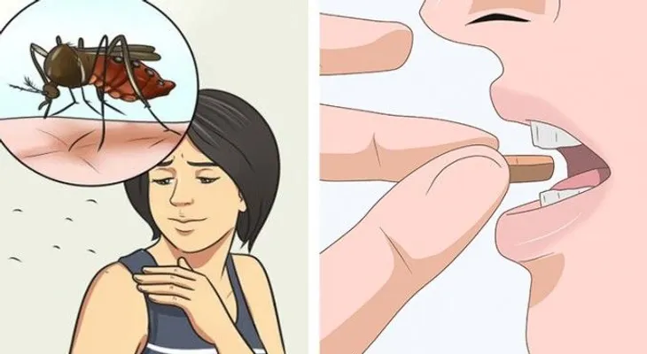 Toma esta vitamina y nunca más serás picada por un mosquito
