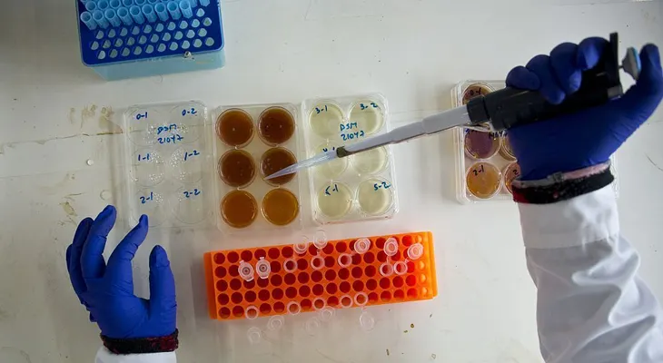 Bacterias multirresistentes a antibióticos son una amenaza mundial