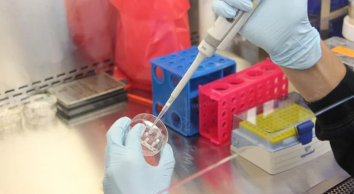 ¿Está realmente la cura contra el cáncer a la vuelta de la esquina?