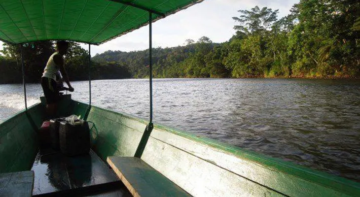 El apetito por el chocolate consume la Amazonía