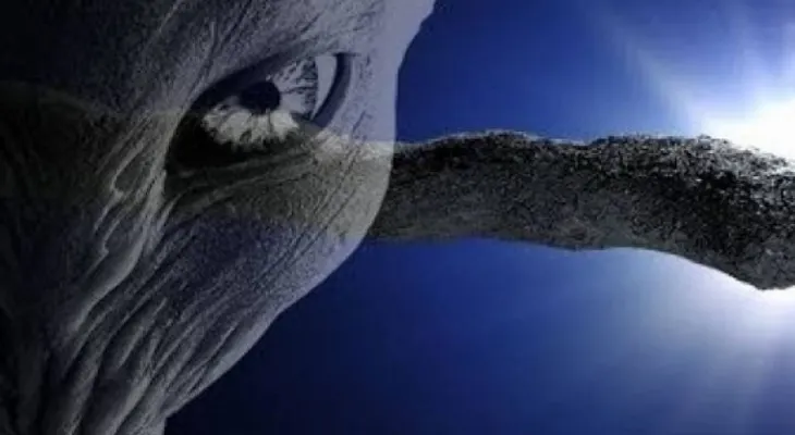 Científico de Harvard asegura la existencia de extraterrestres