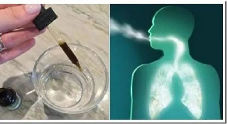 Diluye 3 gotas en agua y mira lo que pasa a los pulmones y vías respiratorias