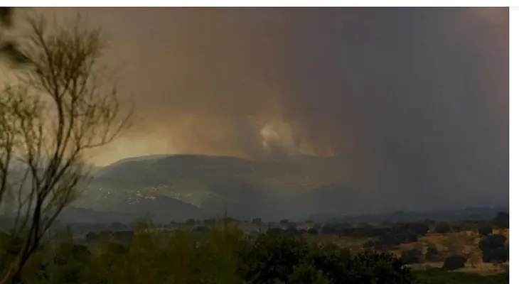 Satélites vigilarán incendios en tiempo real
