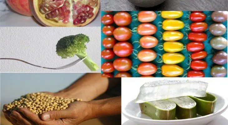 Alimentos funcionales contra el cáncer 