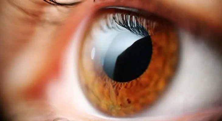 Revelan la receta para mejorar la pérdida de la visión y rejuvenecer la piel!