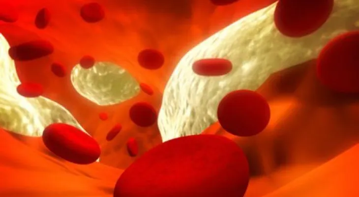 9 alimentos para limpiar las arterias y venas