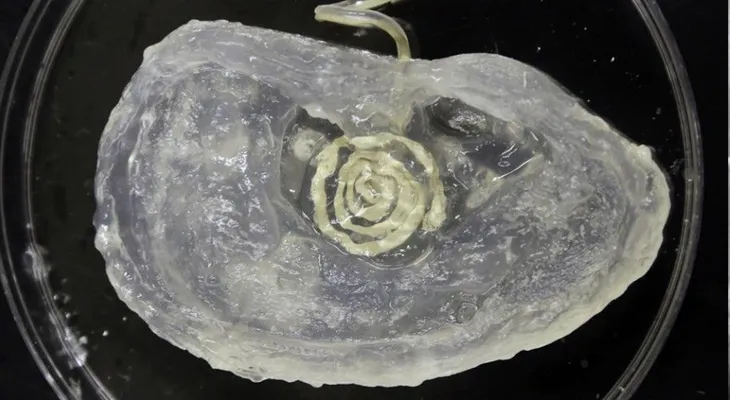 Crean oído biónico con impresora 3D