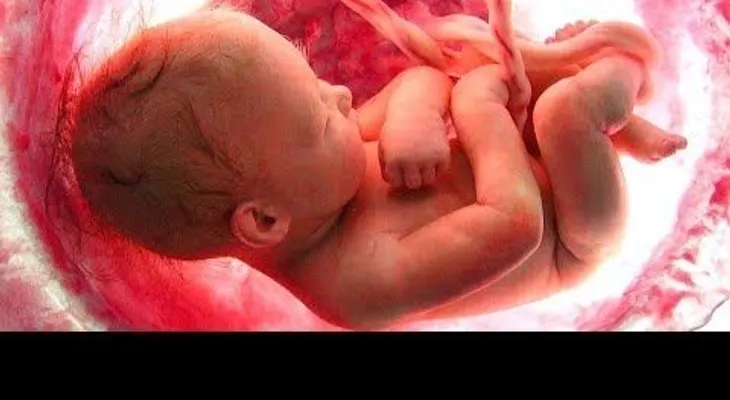 4 daños que un bebé sufre cuando su madre llora