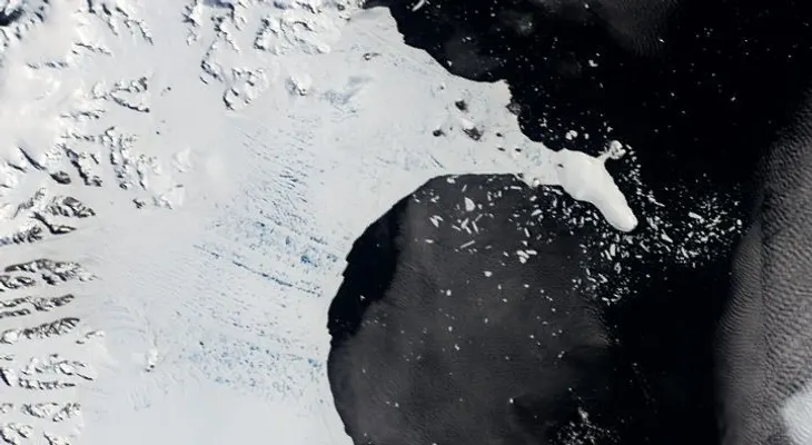 El grave escenario en 2100 si sigue aumentando el nivel del mar por la pérdida de hielo