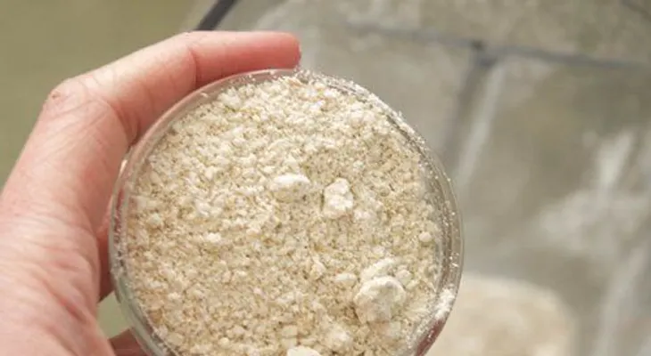 Mascarilla de levadura de cerveza y avena para el pelo y el cutis: Aplicación