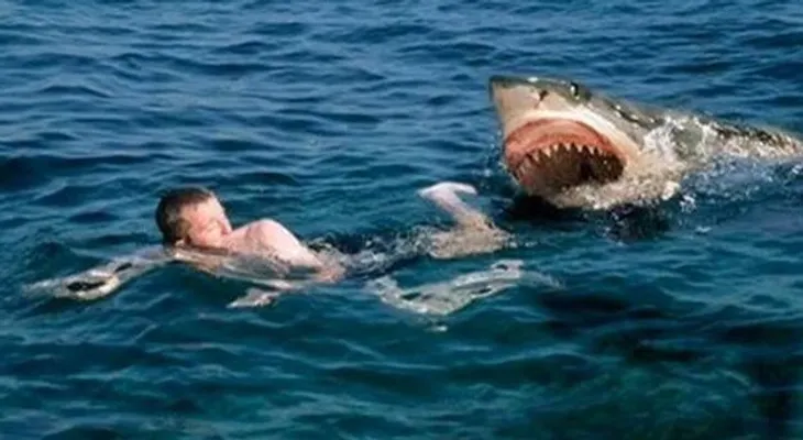 Tiburón mata a una joven surfista en Australia