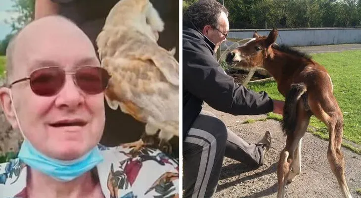 Hombre que sobrevivió de un cáncer, muere por picotazo de una gallina