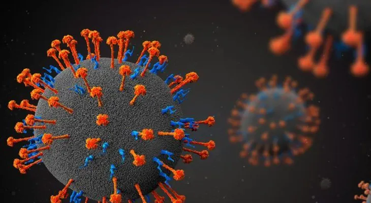 Prueban por primera vez en pacientes sanos tratamiento para curar Henipavirus