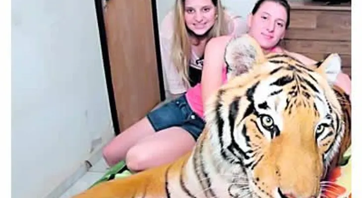 Video: una familia en Brasil vive con siete tigres
