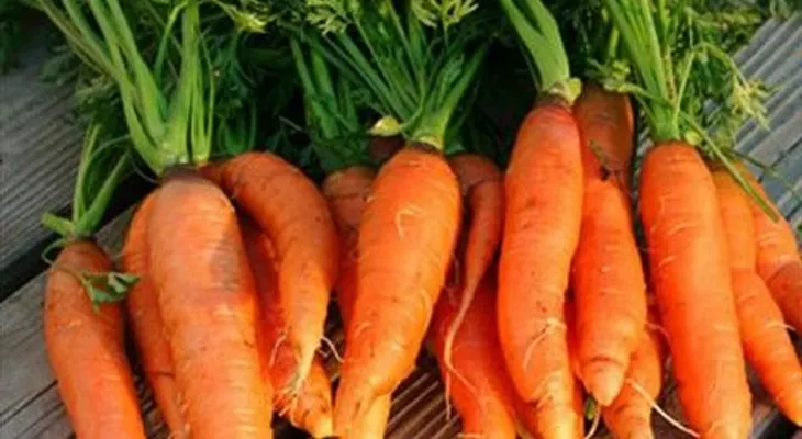 5 alimentos que debes comer para tener una vista sana