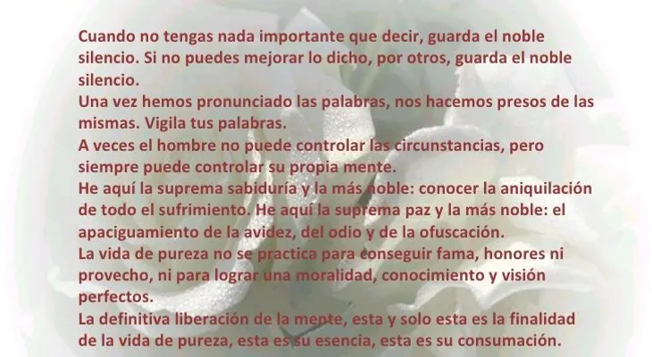 Rosas para el alma  ¡Silencio!