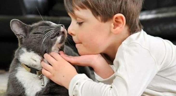 Estos son los beneficios de tener un gato en la casa