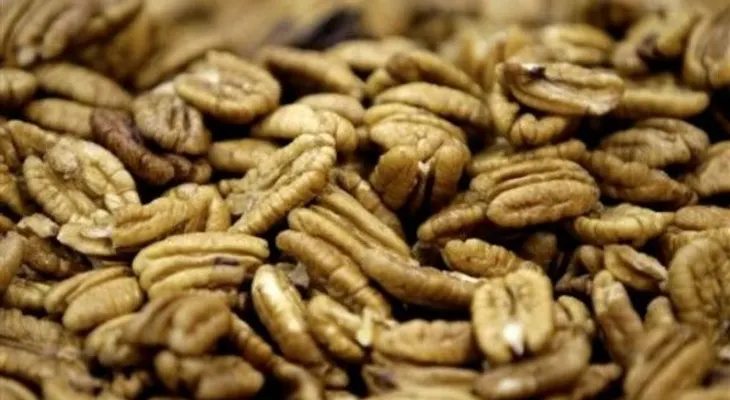 Las nueces prolongan la vida
