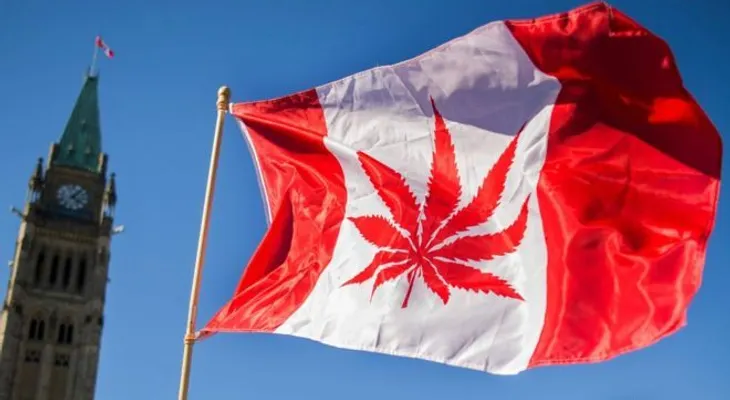 Inmensas colas en Canadá en  primeros días de venta y de consumo legal de marihuana
