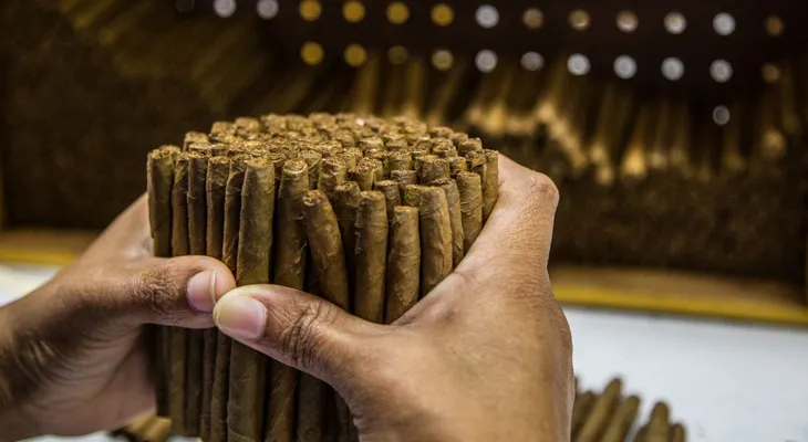 Exportaciones de Zonas Francas ascienden a US$7,143 millones en 2021