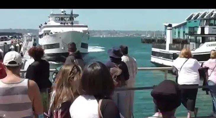 Pánico instantáneo: un crucero se estrella contra el puerto (VIDEO)