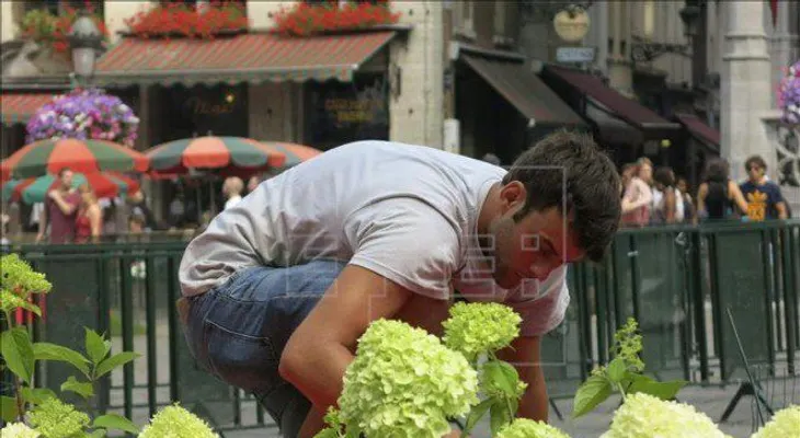 Los jardines del Barroco italiano invaden el corazón de Bruselas