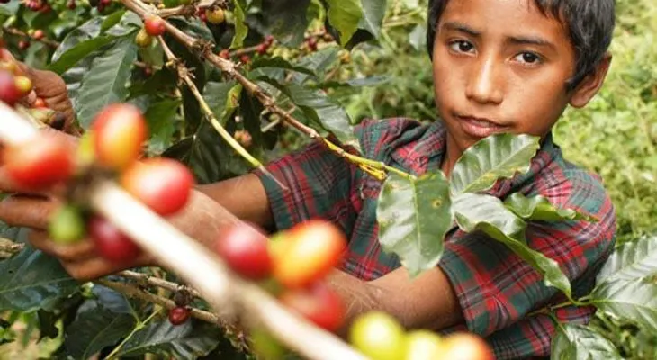 168 millones de niños trabajan en el mundo 