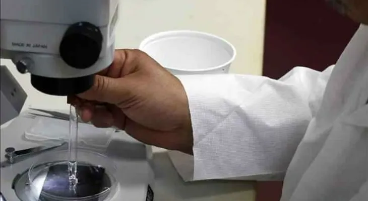 OMS preocupada por propagación de chikungunya, dengue y chagas
