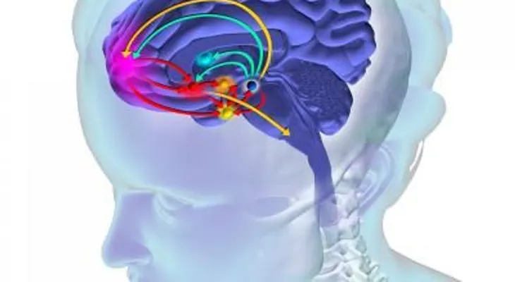 Así destrozan tu cerebro las drogas