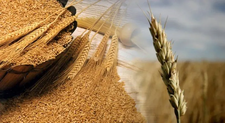 Descubre cómo puedes bajar de peso comiendo afrecho