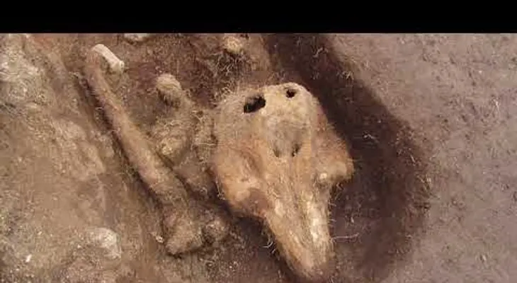 Un hallazgo inesperado en un cementerio medieval desconcierta a científicos
