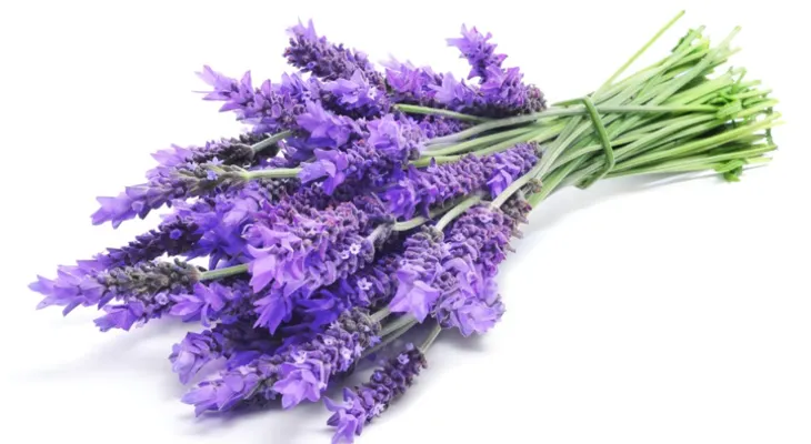 Spray natural de aceites esenciales para dormir mejor