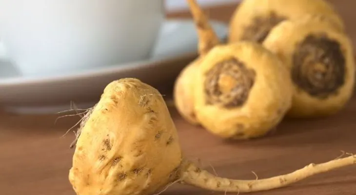 Maca un remedio natural para el rendimiento físico