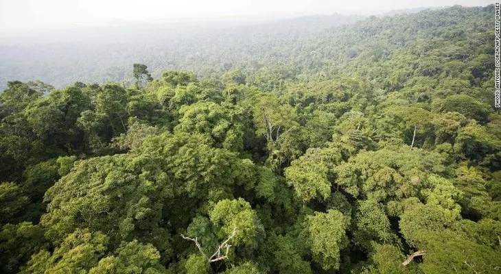 Brasil suspende polémico decreto para realizar explotación minera en la Amazonía
