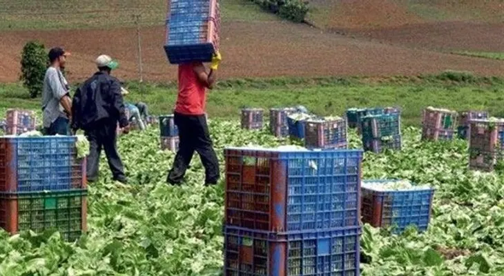 Estudio revela en RD se pierden grandes cantidades de alimentos
