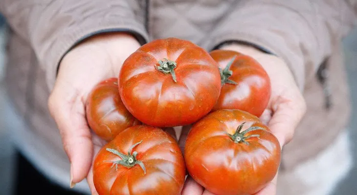  Cocineros convertirán "productos feos" en tapas de alta cocina: una idea para concienciar sobre despilfarro 