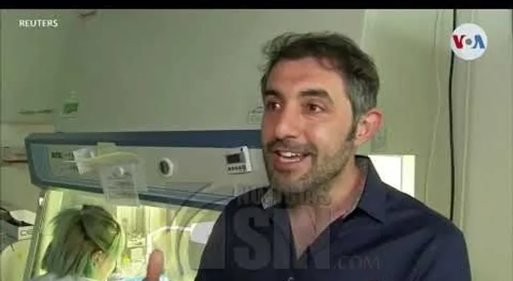 Científicos diseñan órganos humanos transparentes 3D