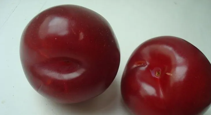 La mejor solución para el estreñimiento con ciruela y sen (Video: frutas y hortalizas: la Ciruela)