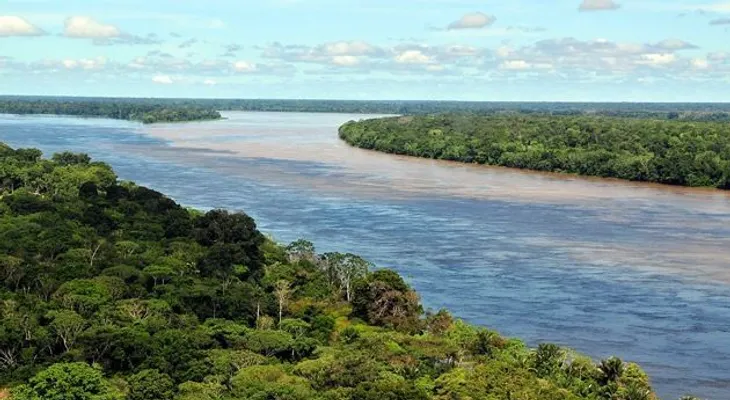 Descubren estructuras arcaicas más antiguas que el propio Amazonas  