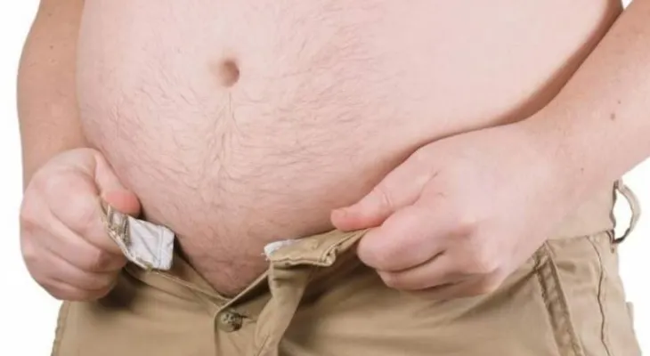 El epiplón, un "delantal" de grasa que protege el abdomen