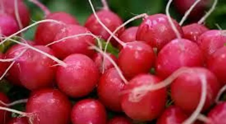 En 9 días puede perder peso y cambiar tu figura con este jugo