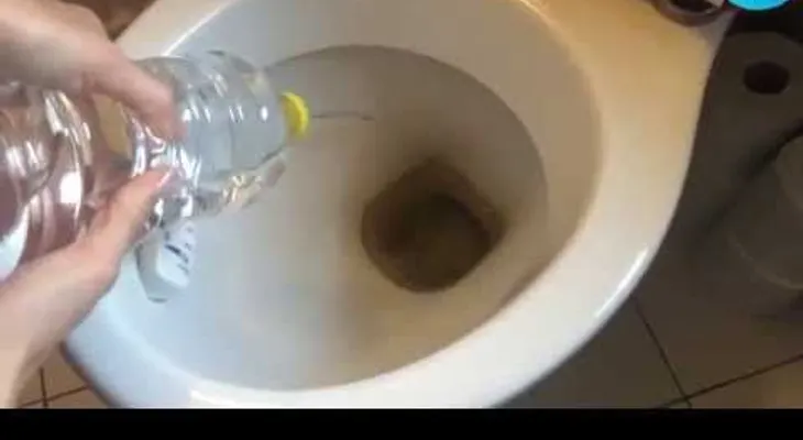 Vinagre blanco para un inodoro reluciente (VIDEO)