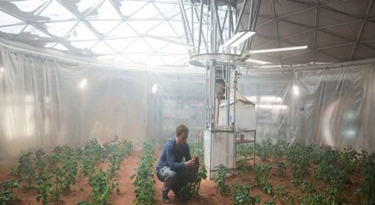 Se puede comer alimentos cultivados en Marte, según experimento