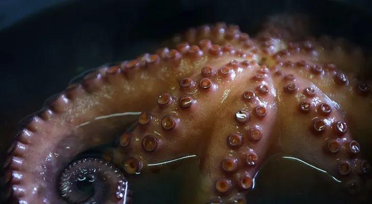 Hospitalizan a un bebé por un pulpo atrapado en su garganta