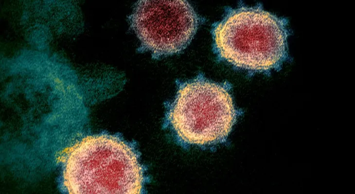 Científicos descubren que el nuevo coronavirus puede sobrevivir a más de 60 grados