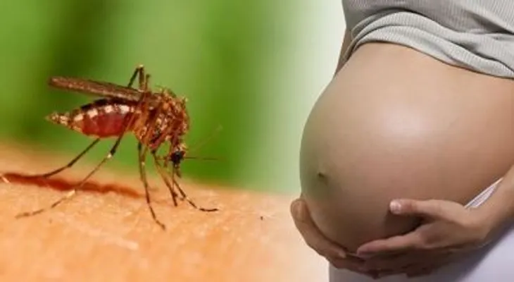 Crece el misterio sobre el virus de Zika