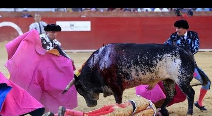 FUERTES IMÁGENES: Torero Víctor Barrio muere tras sufrir una cornada en el pecho (VIDEO 18+)