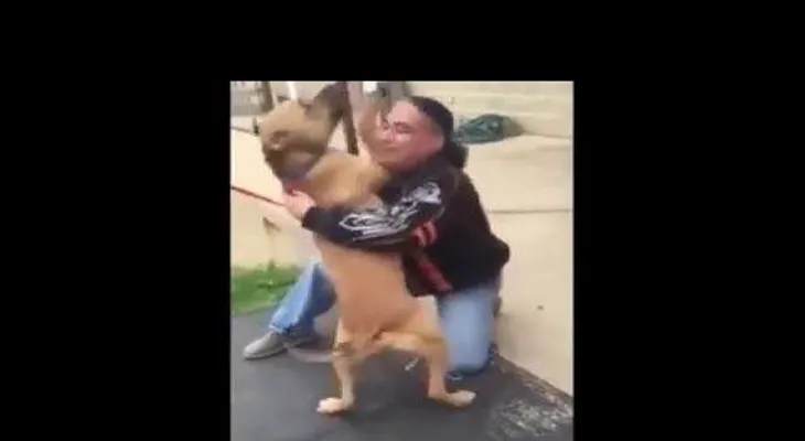 Un hombre recupera perro que perdió hace dos años (VIDEO)